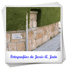 Fotografías de Jesús Antonio Jaén